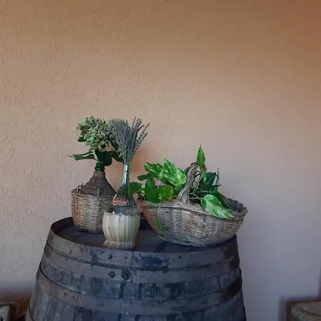 Campo Cantina Papavero-malva *