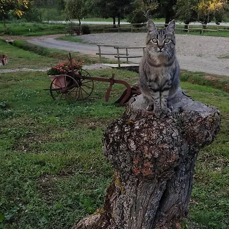 Διαμέρισμα Campo Cantina Papavero-malva Gavorrano