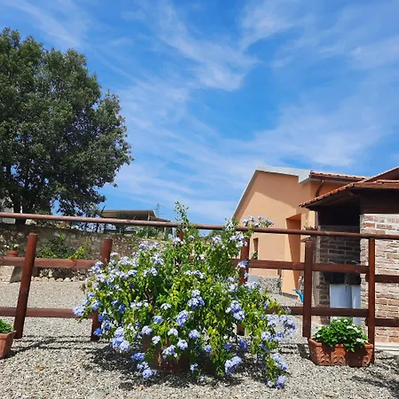 Campo Cantina Papavero-malva *