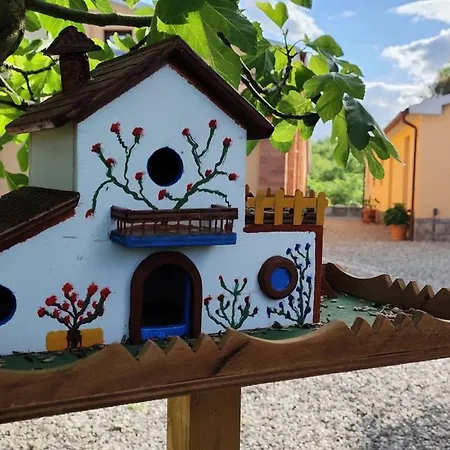 Campo Cantina Papavero-malva *