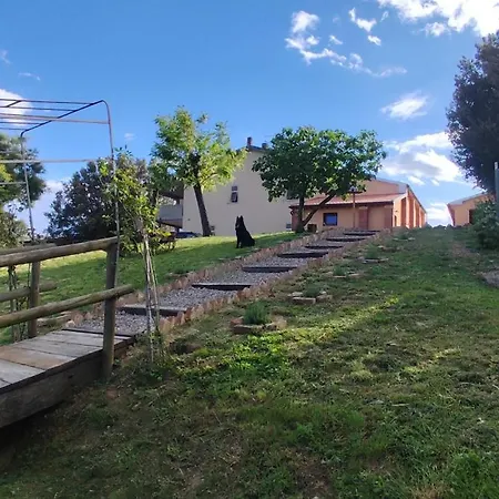 Campo Cantina Papavero-malva Gavorrano