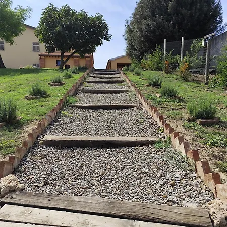 Campo Cantina Papavero-malva * Gavorrano